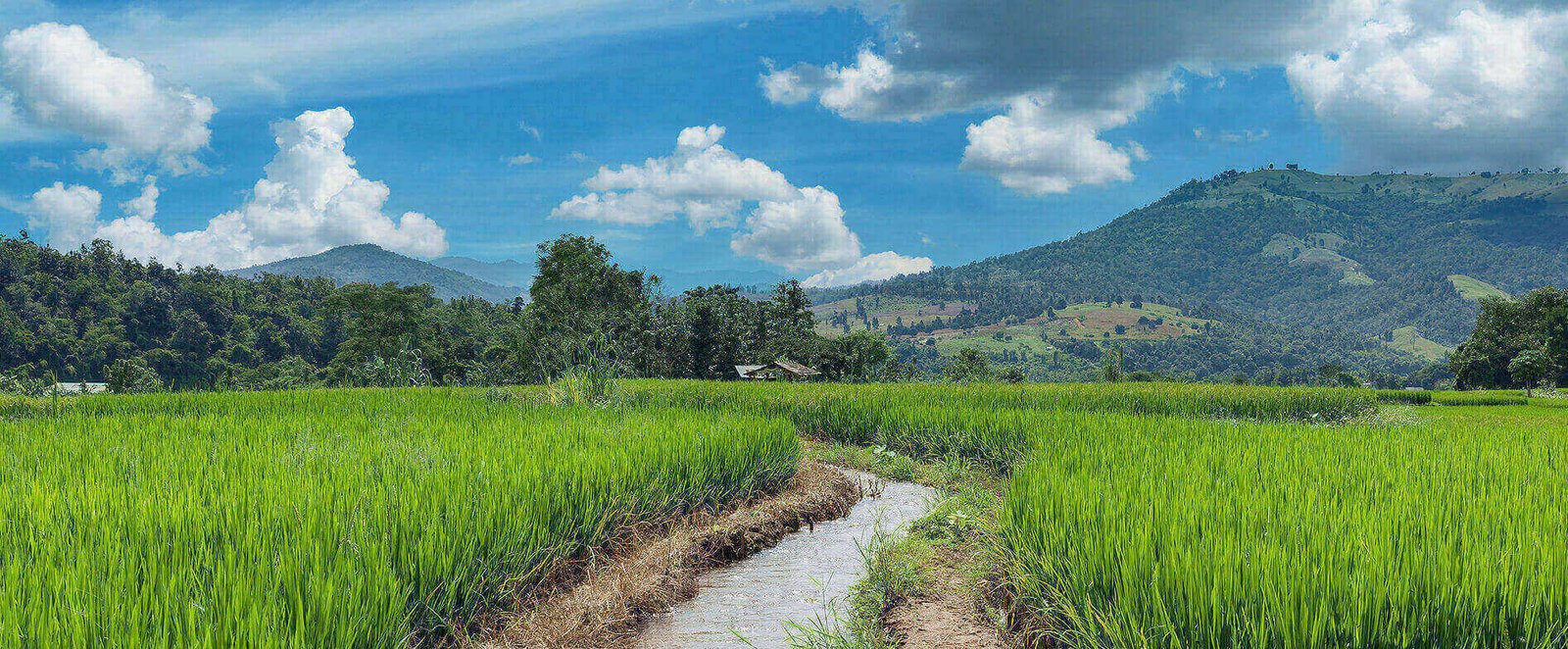 Activated Sludge Process ( ASP)1 (7)