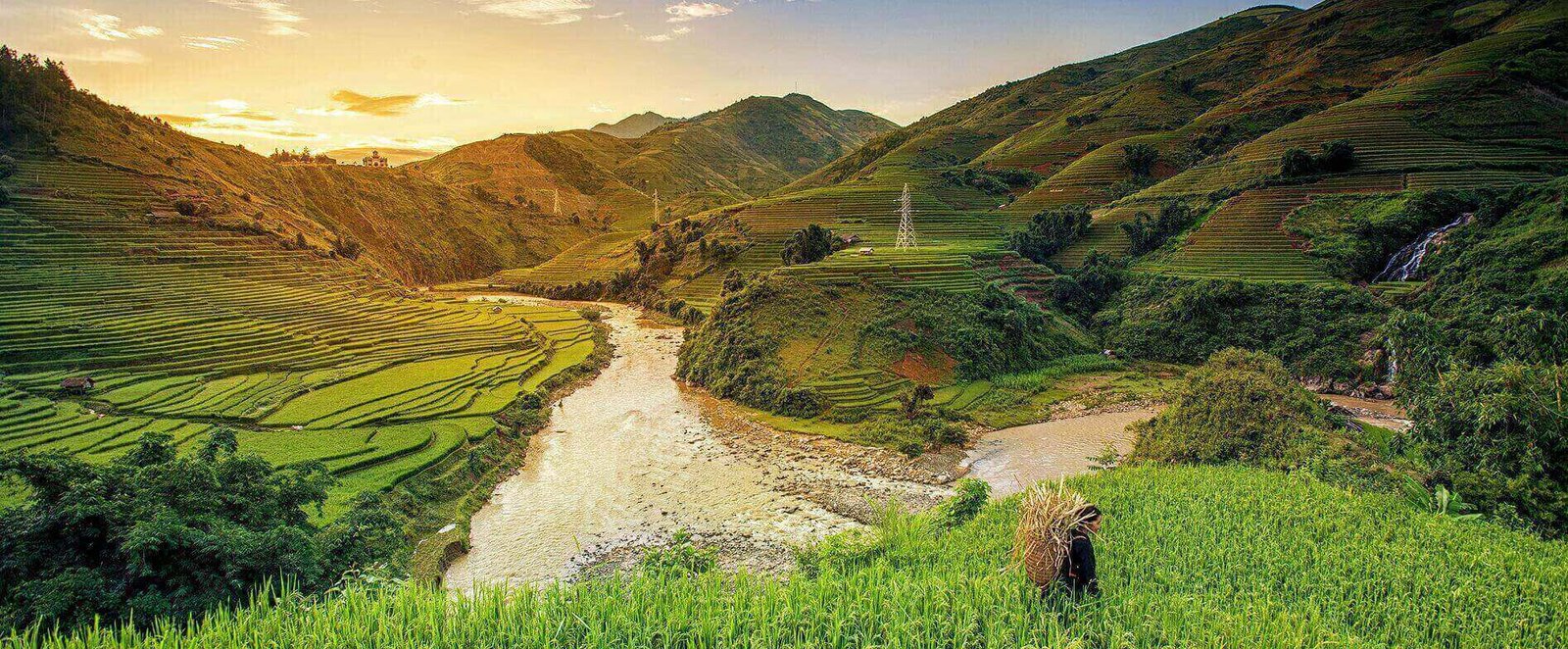 Activated Sludge Process ( ASP)1 (9)